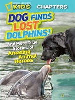 Dog Finds Lost Dolphins